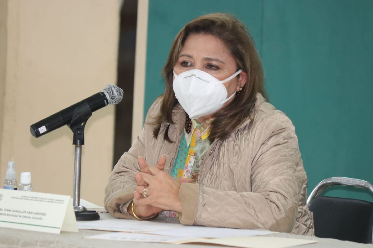 Asiste alcaldesa de Sabinas a reunión del Subcomité regional de salud