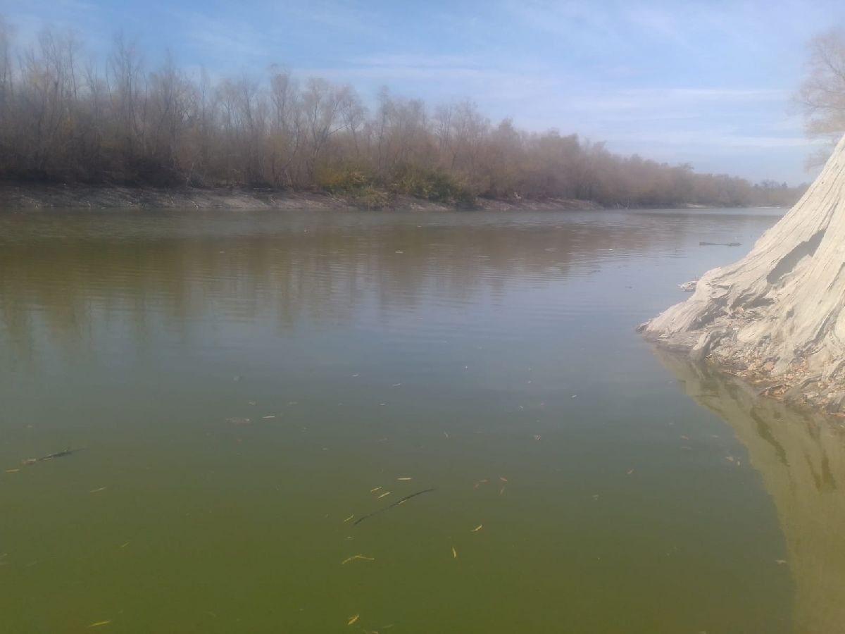 Río Sabinas el humedal más grande