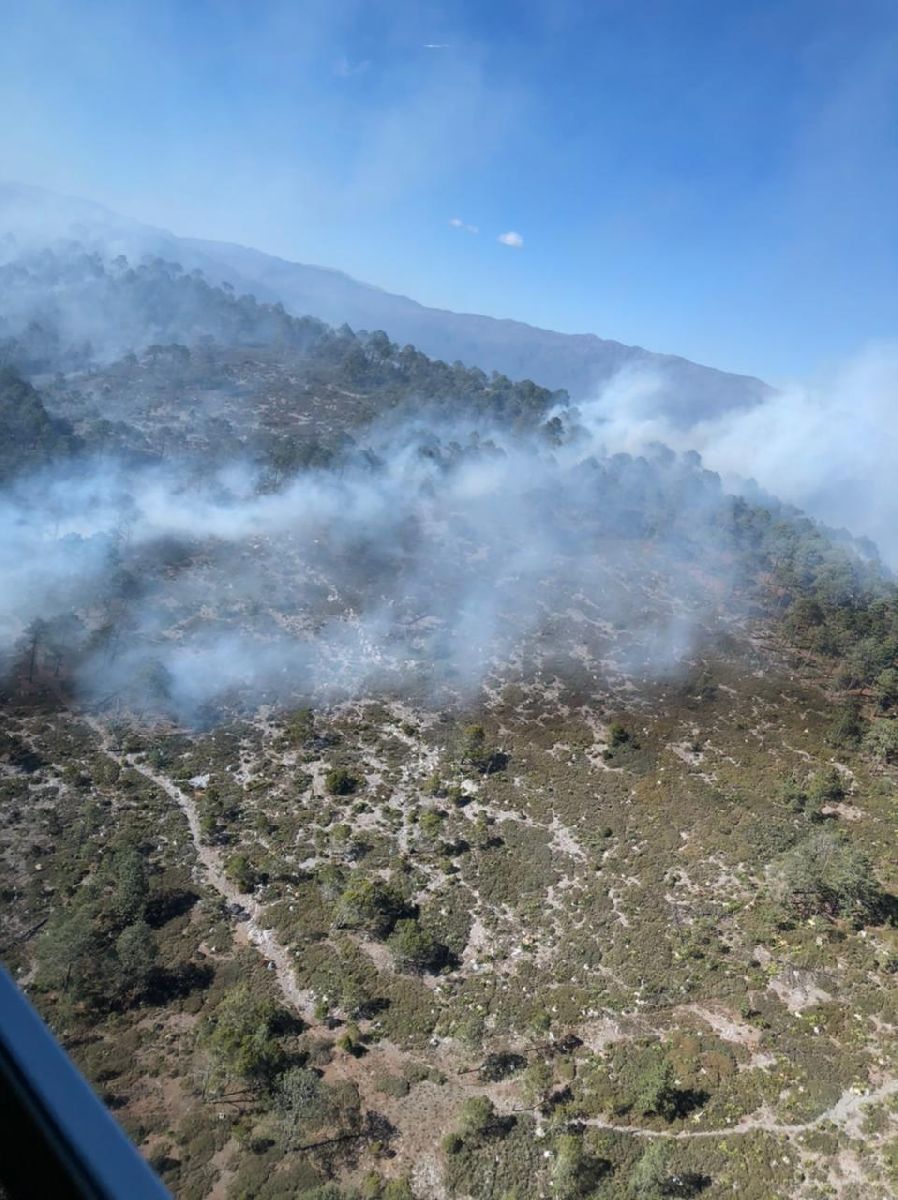 Se registra incendio forestal en Galeana, Nuevo León