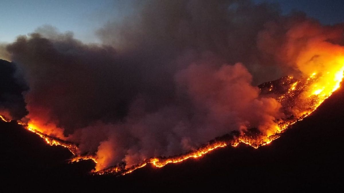 Consume 800 hectáreas incendio forestal en Sierra de Santiago, NL