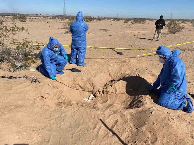 Hallan 11 cuerpos en fosas clandestinas en Sonora; dos son mujeres