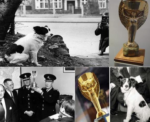 El día que robaron la copa del Mundial de fútbol y un perro la rescató