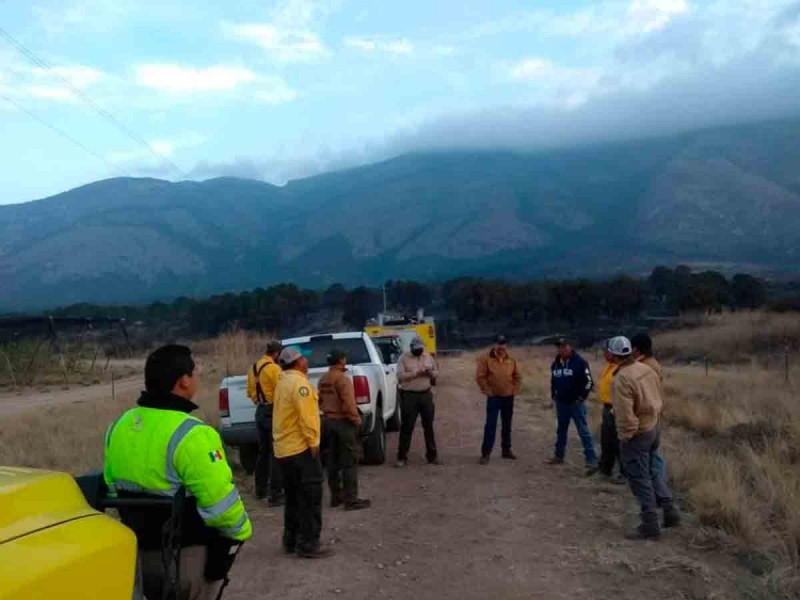Brigadistas trabajan para controlar incendio forestal en Arteaga, Coahuila