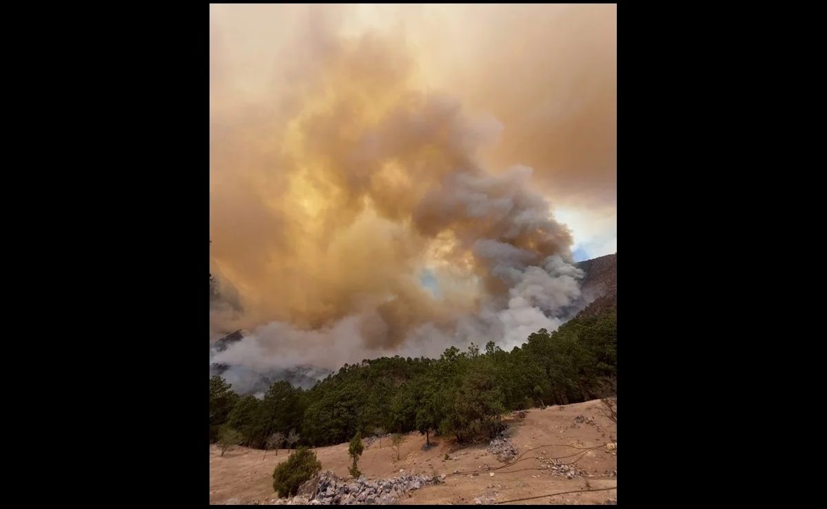 Incendio se sale de control en sierra de Santiago; afecta 2 mil 800 hectáreas