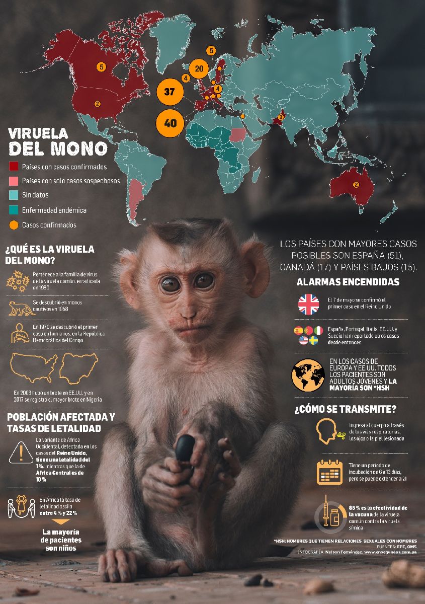 Casos de viruela del mono podrían ser la ‘punta del iceberg’, advierte OMS