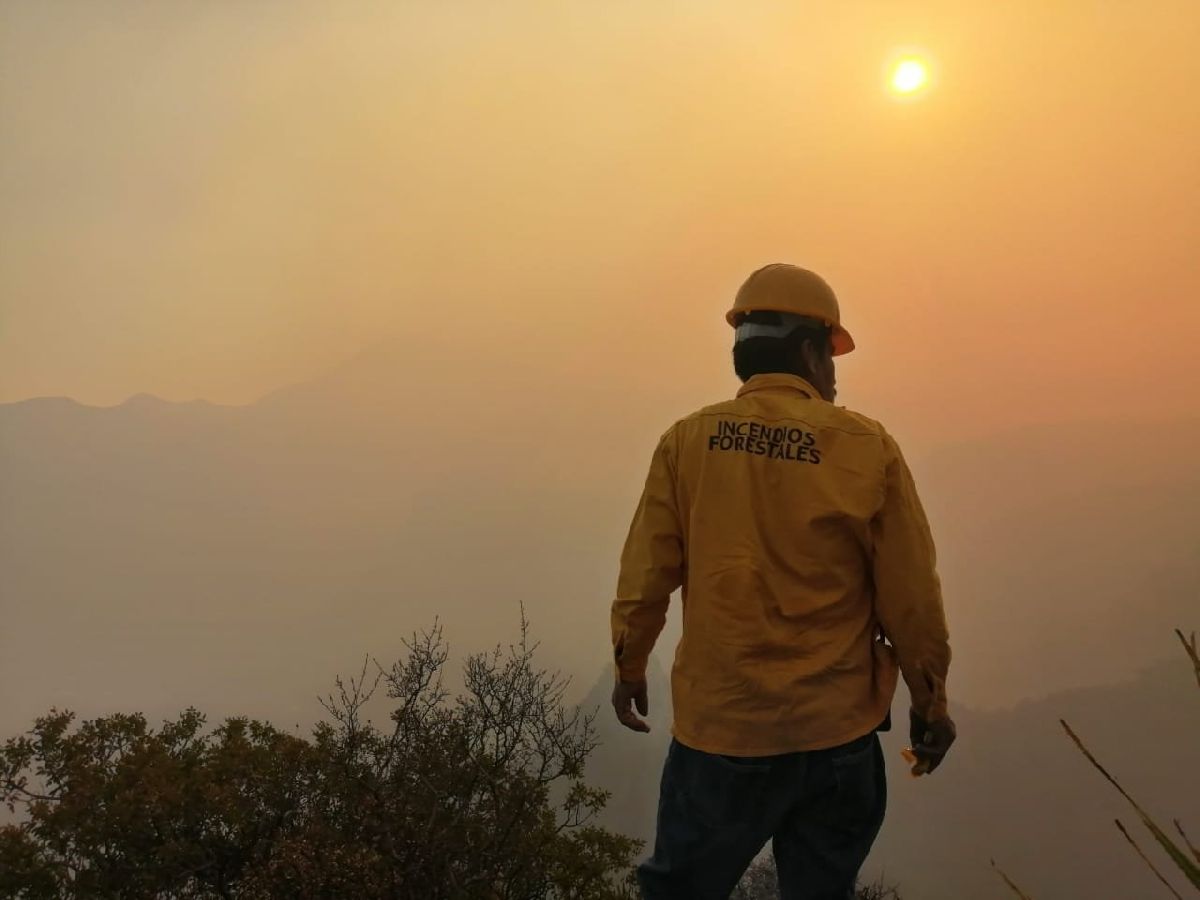 Combaten incendio forestal en Durango con helicóptero de la Fuerza Aérea Mexicana