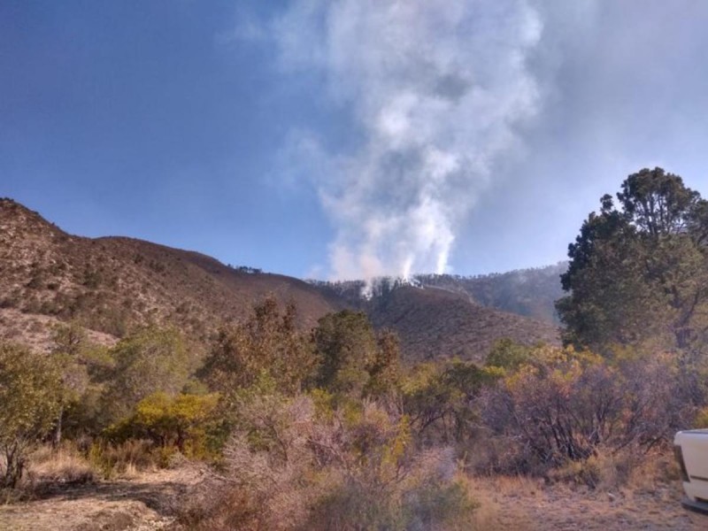 Se registran 5 incendios forestales en Coahuila