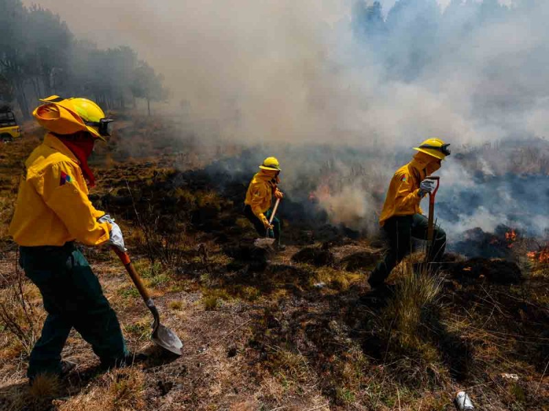 Suben de 72 a 81 incendios forestales activos en México