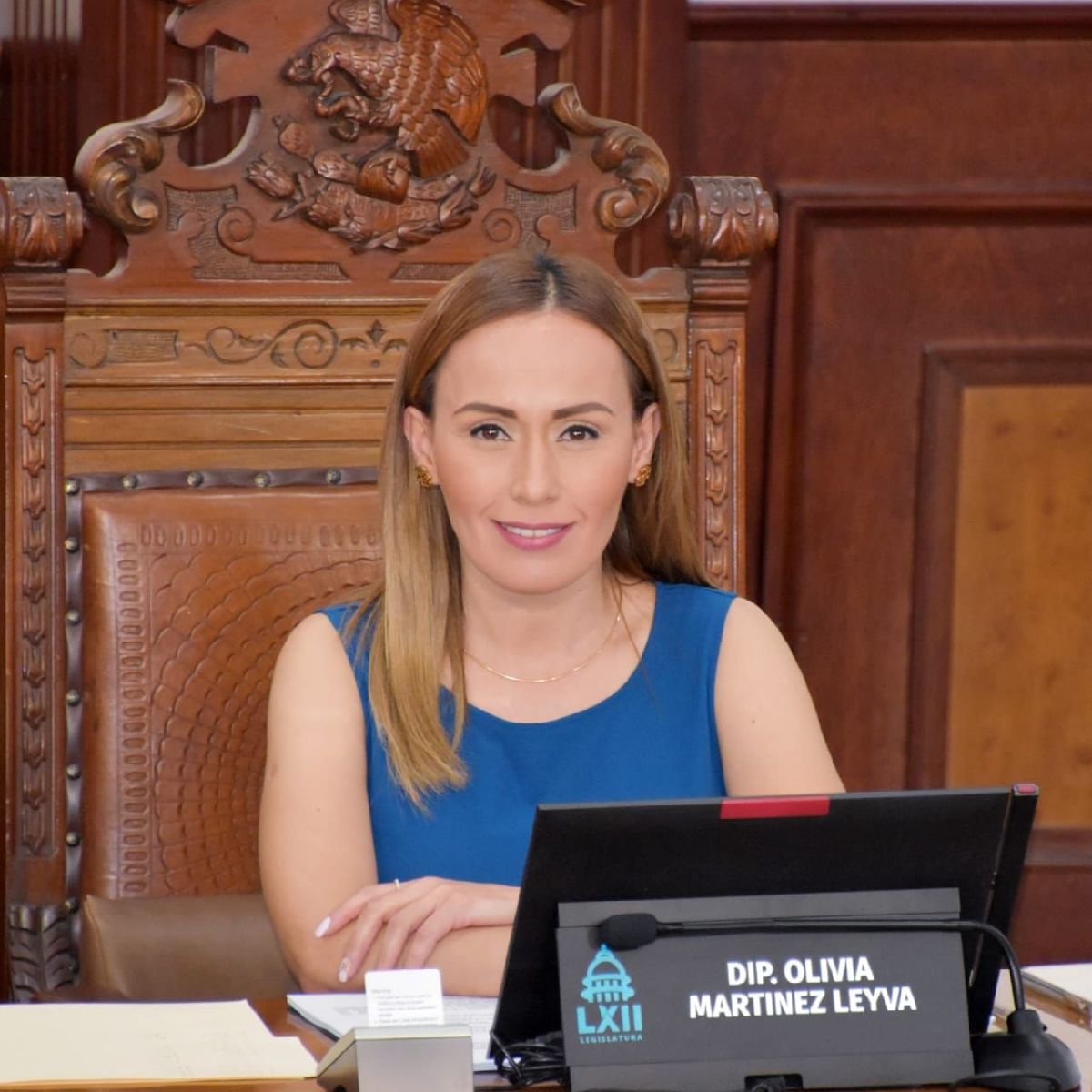 Ante próximas olas de calor, solicita diputada Olivia Martínez protección a personas en situación de calle