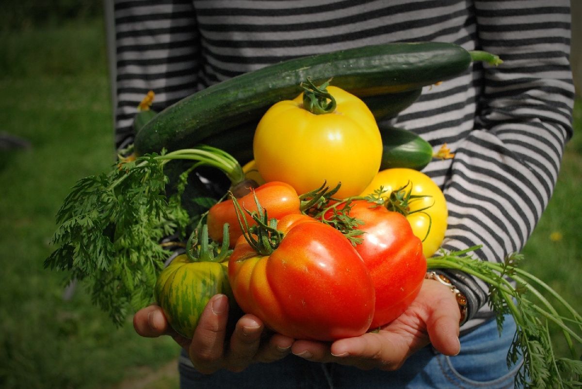 La Narro y el municipio fomentarán el auto consumo de alimentos orgánicos