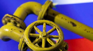 FILE PHOTO: llustration shows Natural Gas Pipes and EU and Russian flags
