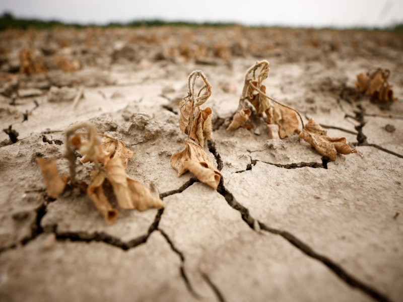 Casi la mitad del territorio de la UE, en riesgo de sequía