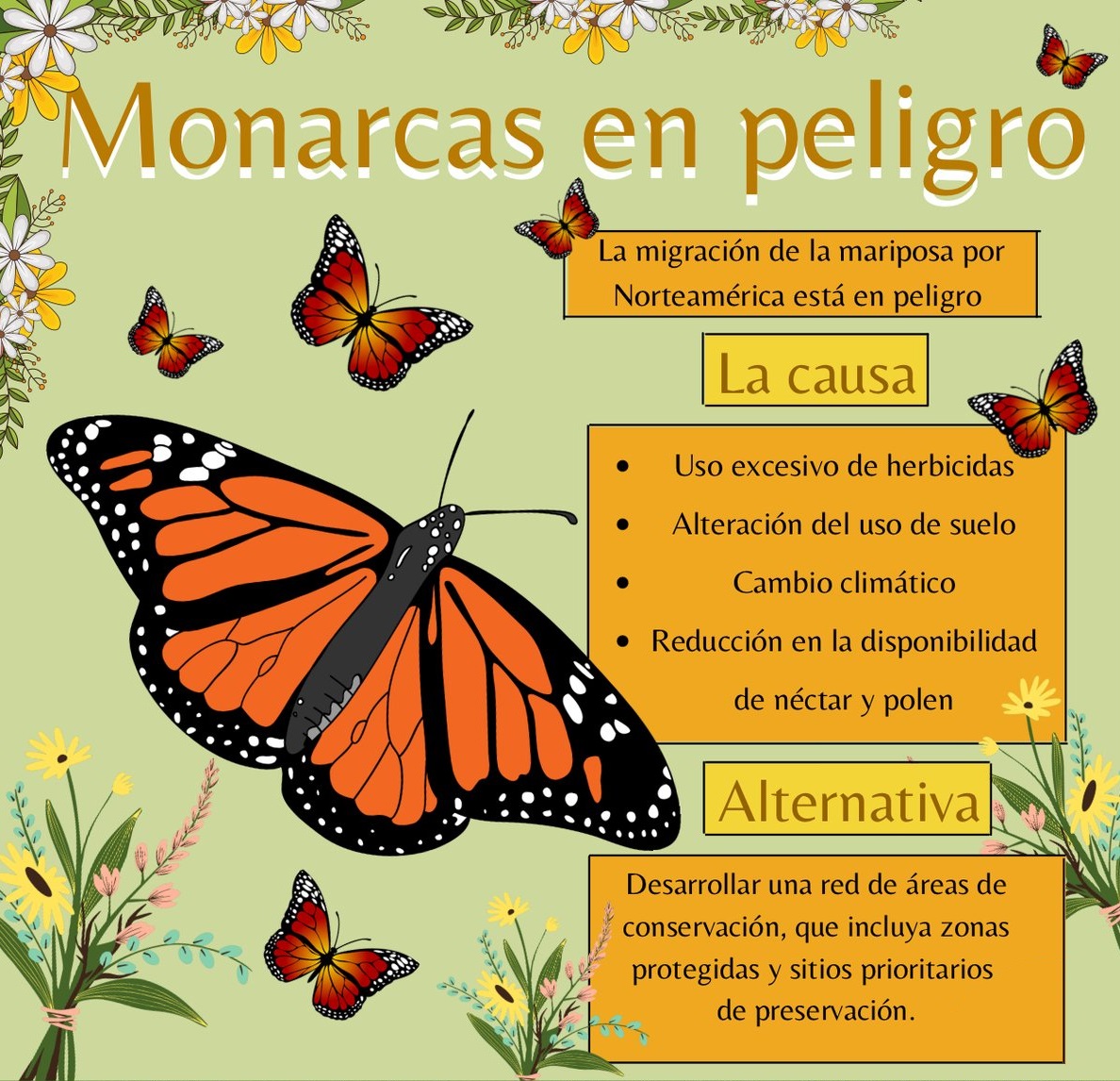 Mariposa monarca entra a lista roja de especies en peligro