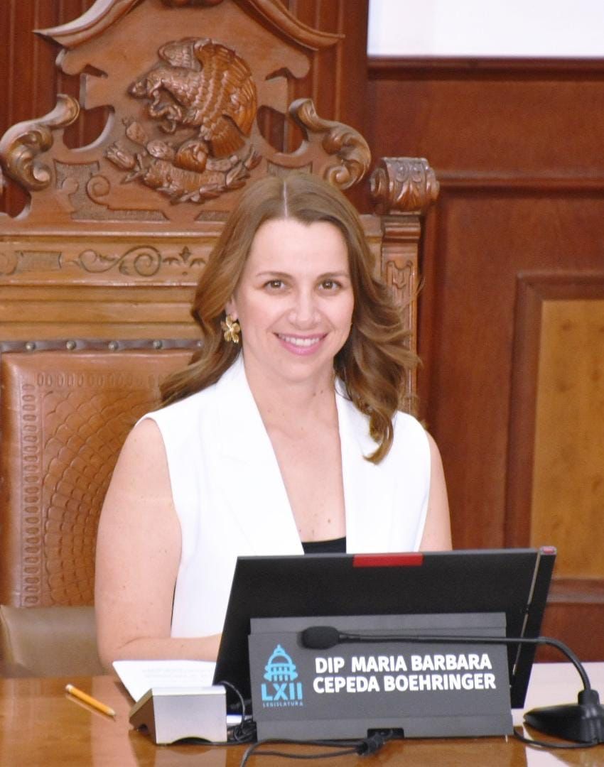 Pide diputada María Bárbara Cepeda se tomen en México medidas preventivas contra hepatitis aguda