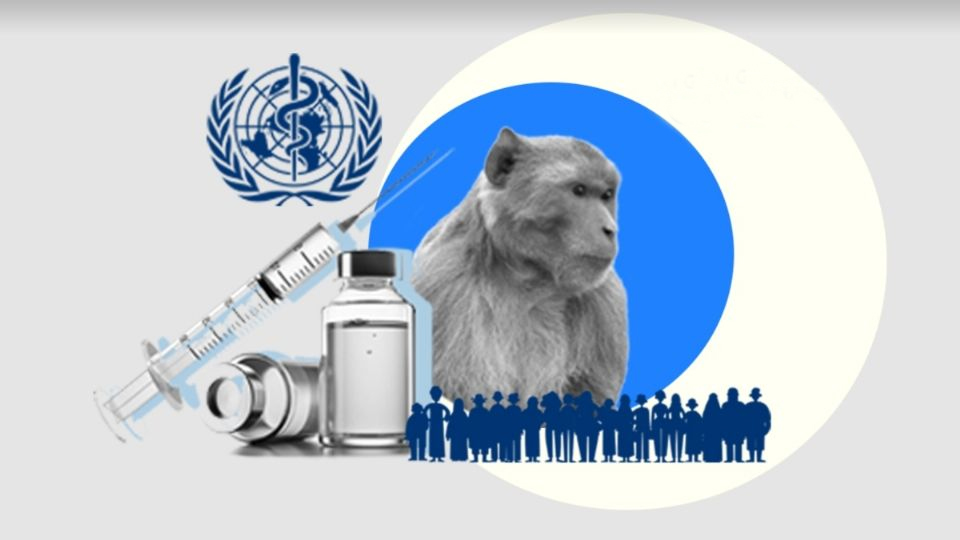 ¿Quiénes deben vacunarse contra la Viruela del Mono y cuáles son las vacunas autorizadas?