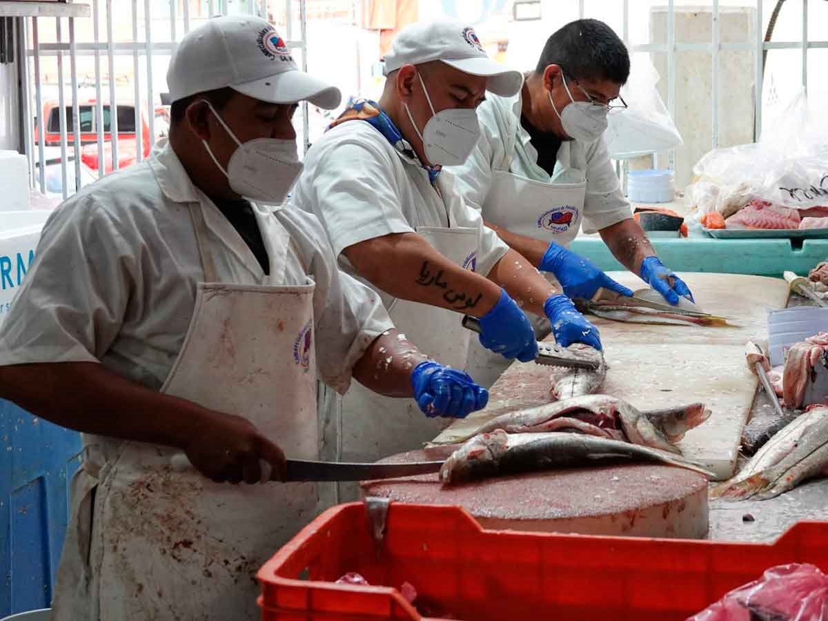 ¿Te urge chamba?; Canadá ofrece 60 mil pesos al mes y sin inglés por lavar pescado