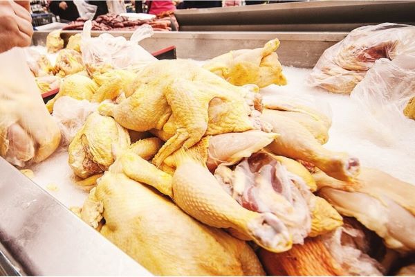 Hasta 25 pesos llega a costar el kilo de pierna y muslo de pollo por desabasto