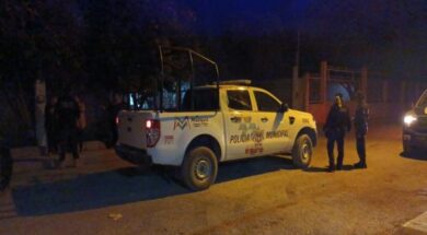 paloma 11A