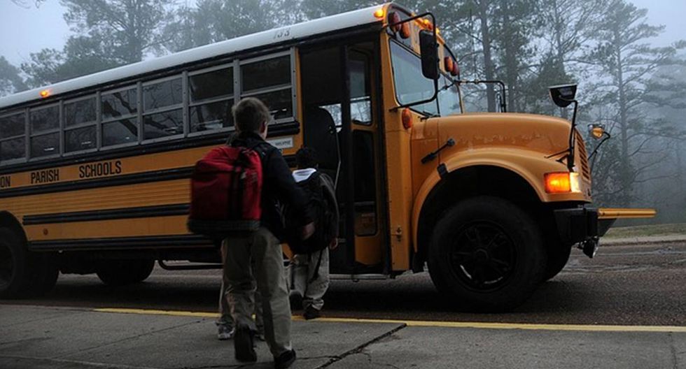 Chofer de autobús escolar se desmaya en Michigan; estudiante de primaria logra frenarlo