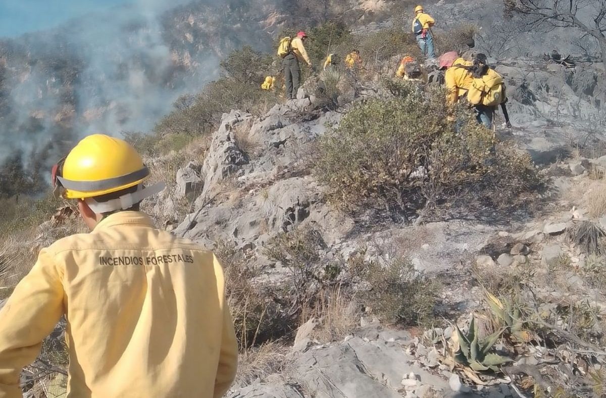 150 hectáreas ha consumido el fuego en “Pico de Davis” en Múzquiz
