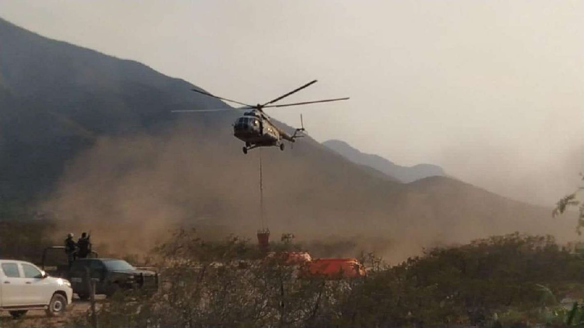 Llegan dos helicópteros de la Sedena para combatir incendio forestal: MARS