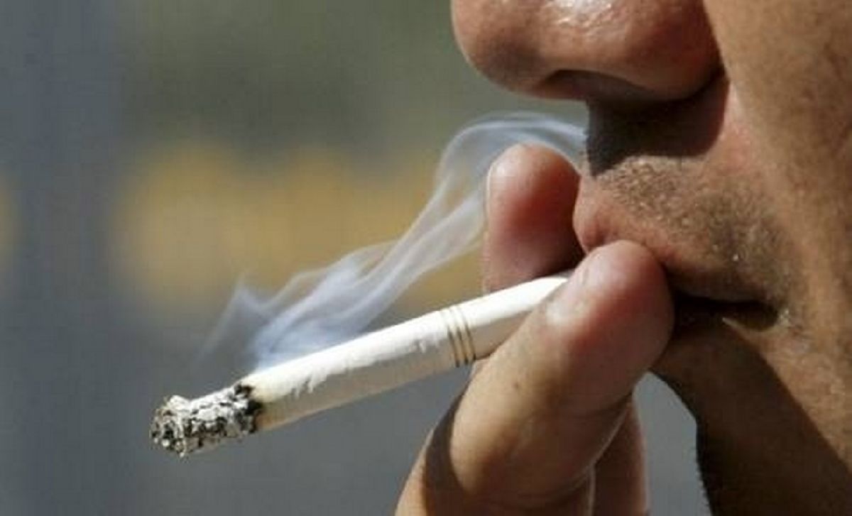 Día Mundial Sin Tabaco; GNP pagó mil 522 mdp por daños en 2022