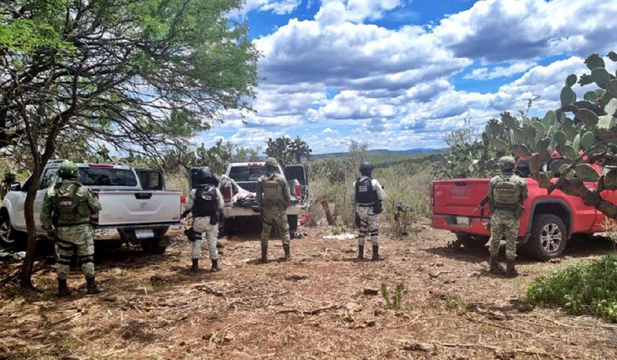 Ejército y GN aseguran más de 4 mil cartuchos útiles y cinco camionetas en Zacatecas
