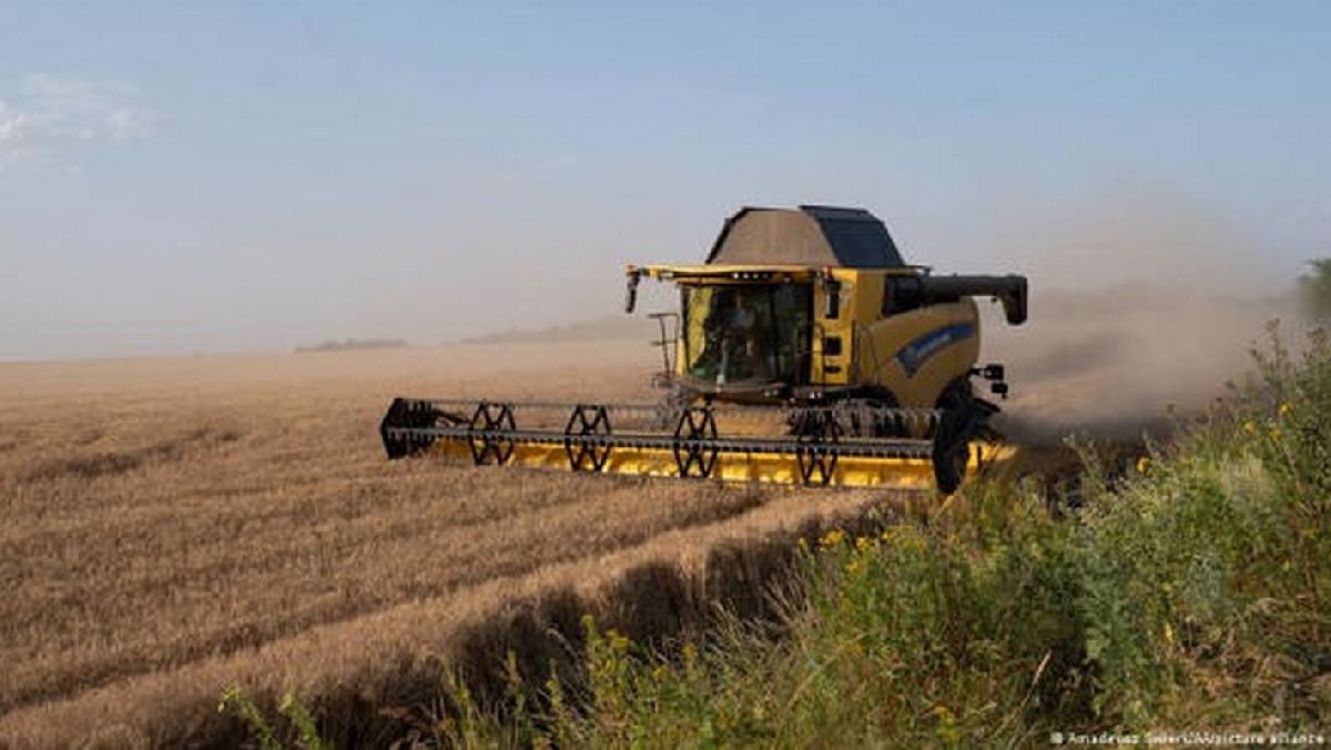 Por qué Polonia, Eslovaquia y Hungría bloquean el grano ucraniano
