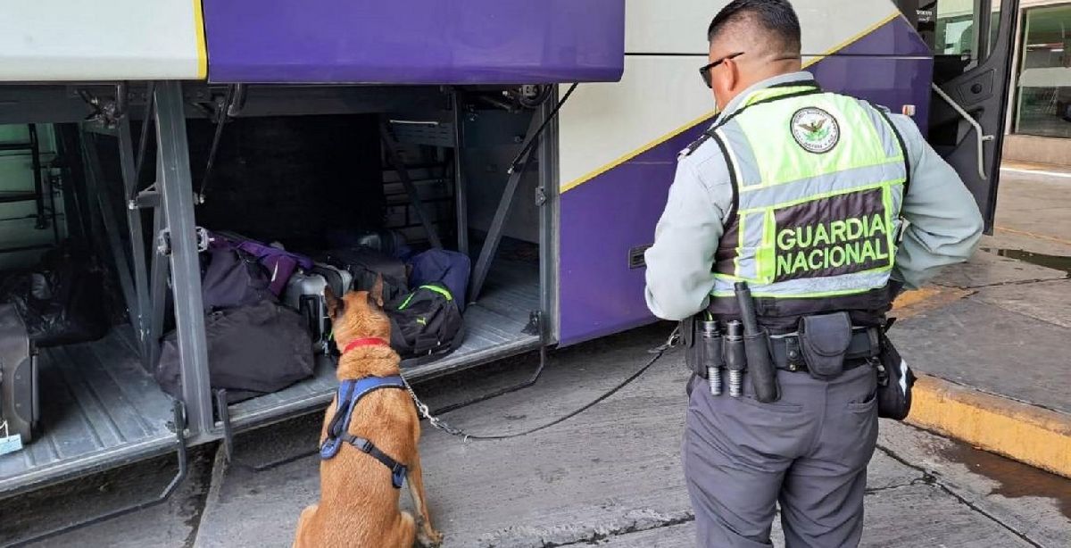 Aseguran maleta con 3 mil pastillas en la Central de Autobuses de Torreón