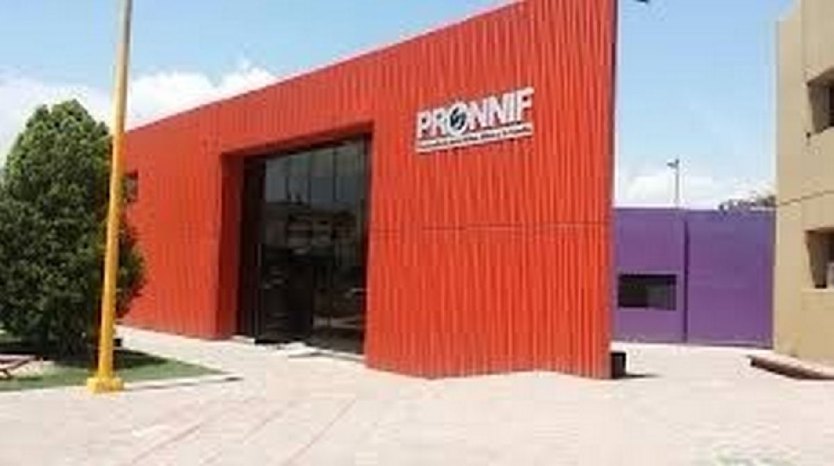 Niña traía droga en su escuela