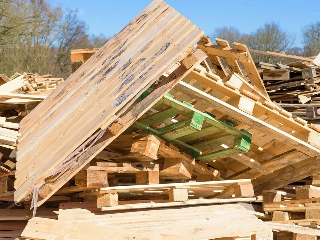 Lo que más piden en Atención Ciudadana son tarimas de madera: Sonia Anguiano