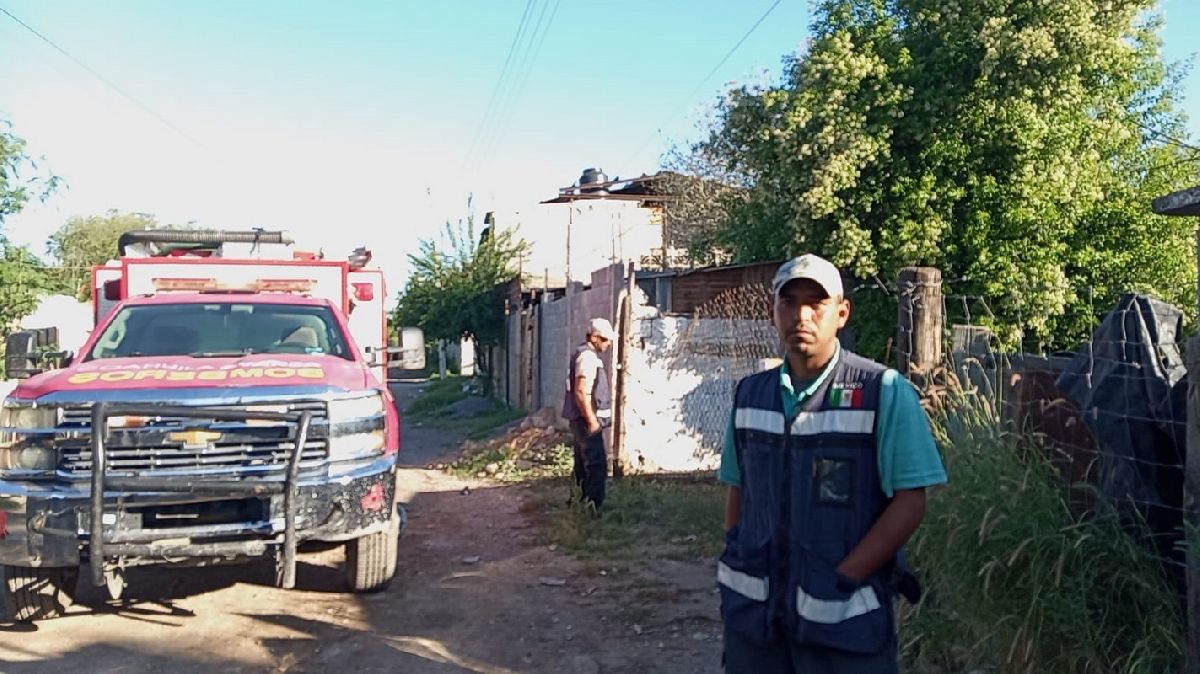 Atienden Protección Civil y bomberos enjambre