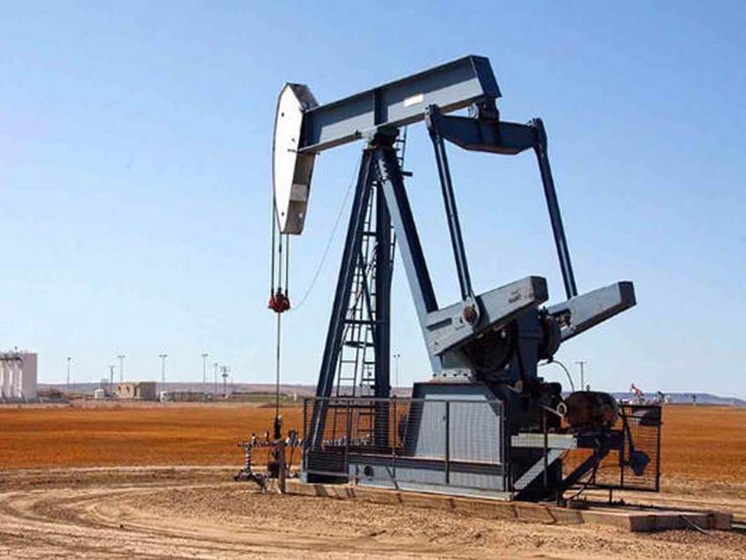 Bolivia invierte en Petróleos de Venezuela para proyectos de explotación de hidrocarburos