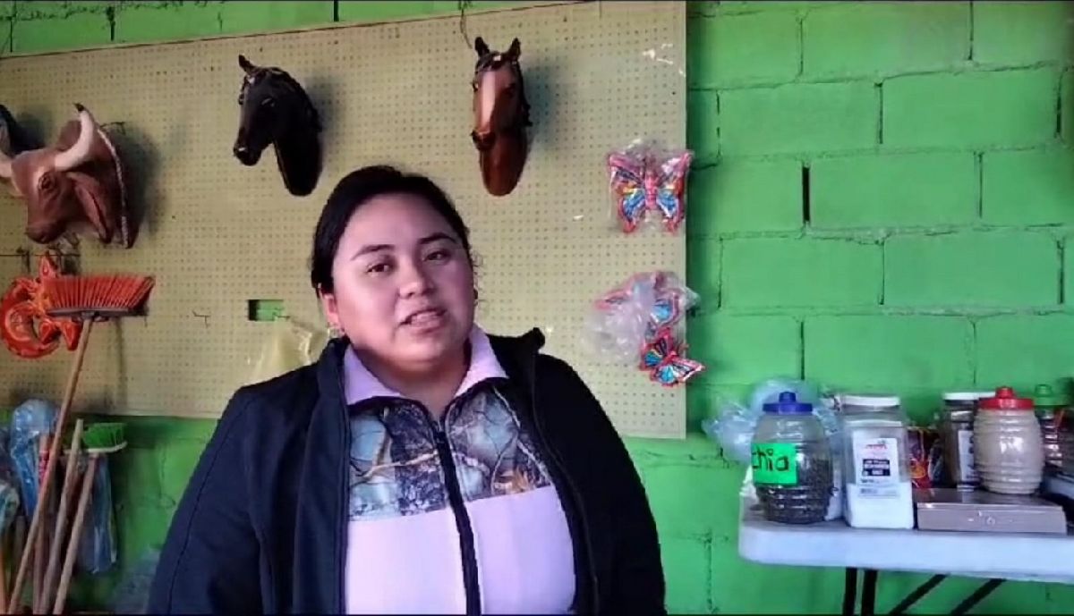 Tradiciones navideñas y preparativos dan auge a vivero y herbario local
