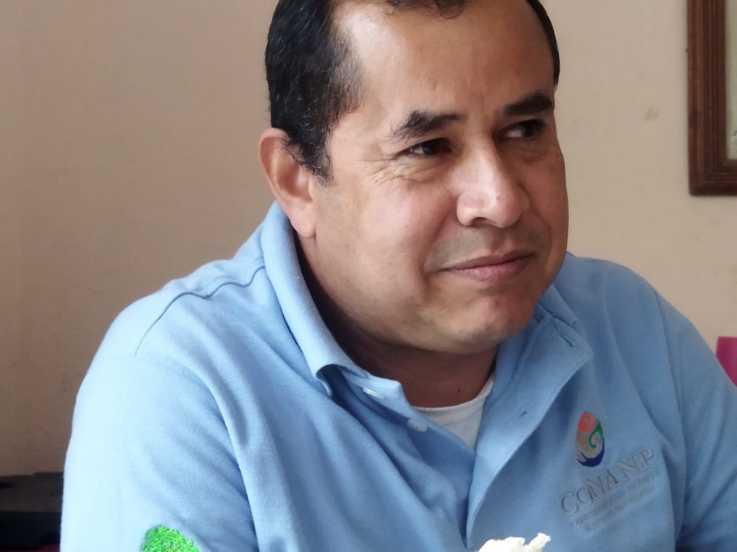 Monitoreos de la CONANP detectan menos individuos por especie: Dávila Paulín