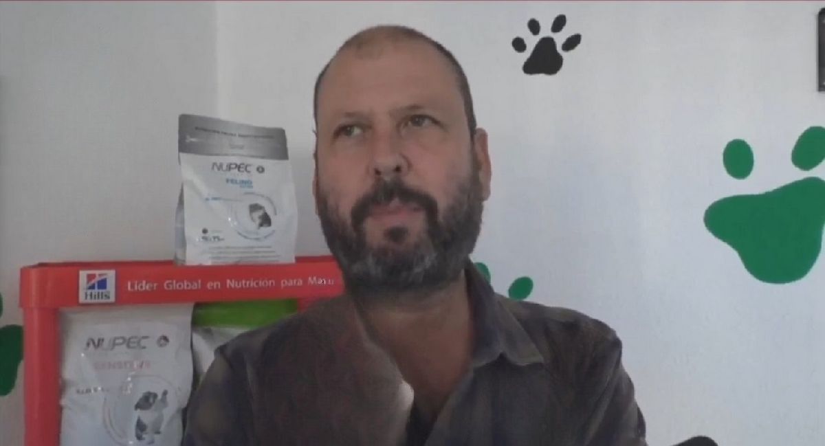 Con la llegada del mes de diciembre piden a ciudadanía cuidar a sus mascotas de la pirotecnia