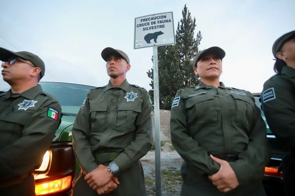 Coloca Policía Ambiental de Saltillo señalamientos para preservar a los osos