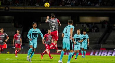 PUMAS-Copiar