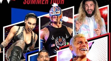 WWE-Copiar