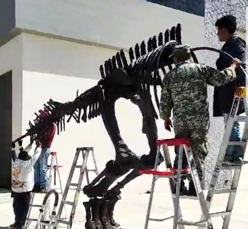 Sabinosaurio sigue de paseo por el país