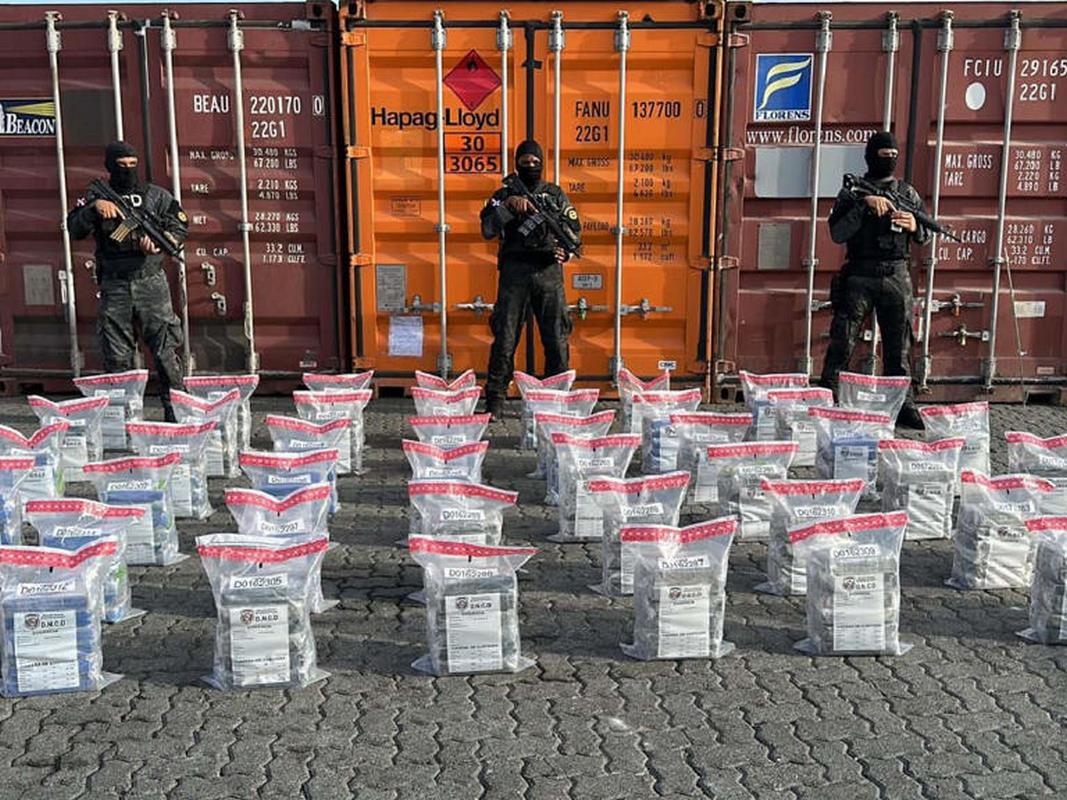 Combate al narcotráfico: Decomisan 8.3 toneladas de cocaína en las Antillas francesas