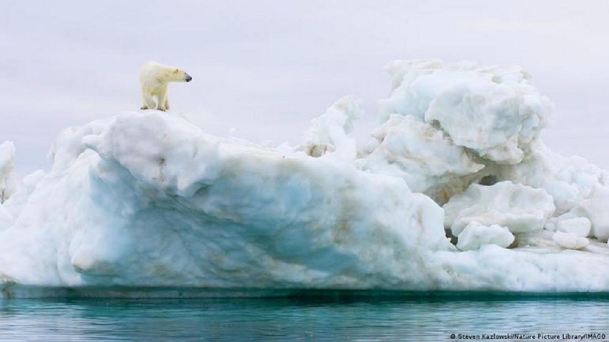 El Ártico podría quedarse sin hielo dentro de unos diez años, proyectan científicos