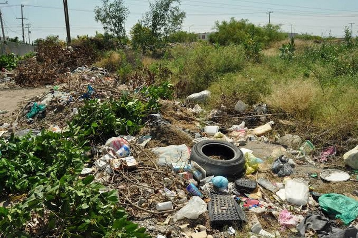Solicitan limpieza de terrenos baldíos, abandonados