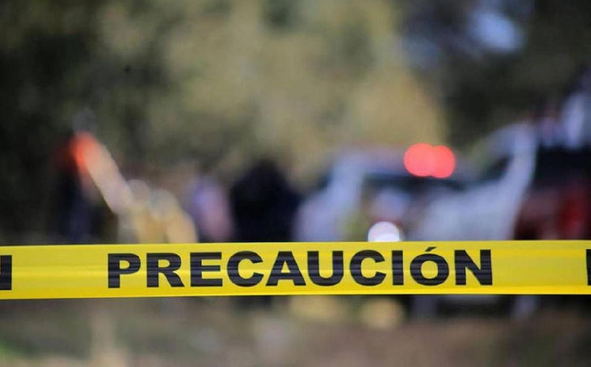 Matan a niñas de 5 y 13 años y a una mujer adulta en cabaña de Michoacán
