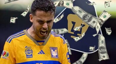 PUMAS-Copiar