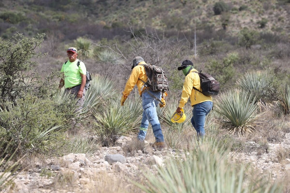 Exhorta Policía Ambiental a prevenir incendios forestales