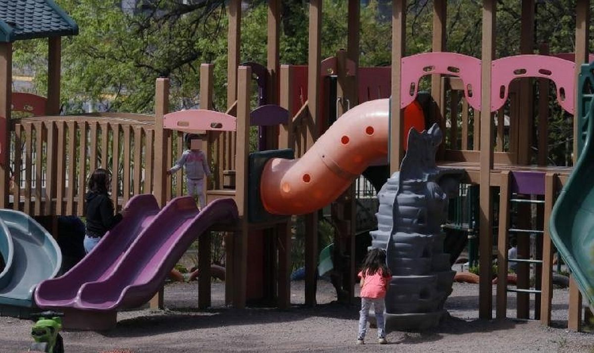 Roban cableado del Parque Ecológico El Chapulín en Saltillo