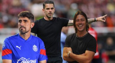 GAGO-Copiar