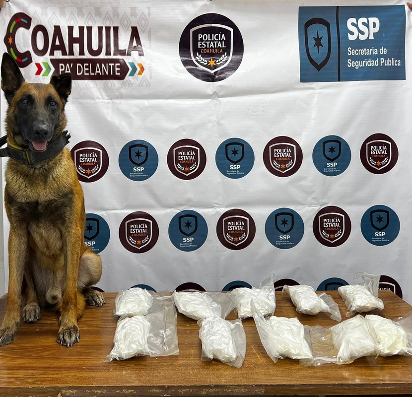 ELEMENTO CANINO DE LA POLICÍA ESTATAL DETECTA MENTAFENTAMINAS EN FILTRO DE SEGURIDAD