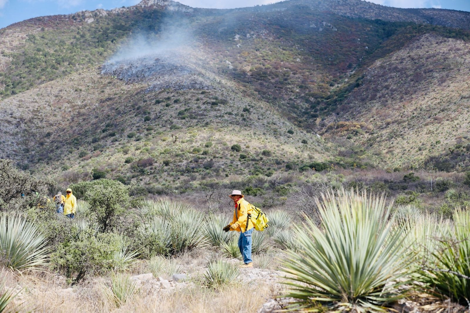 Llama Saltillo a prevenir incendios forestales